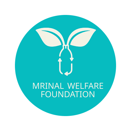 Mwf Official logo_transparent