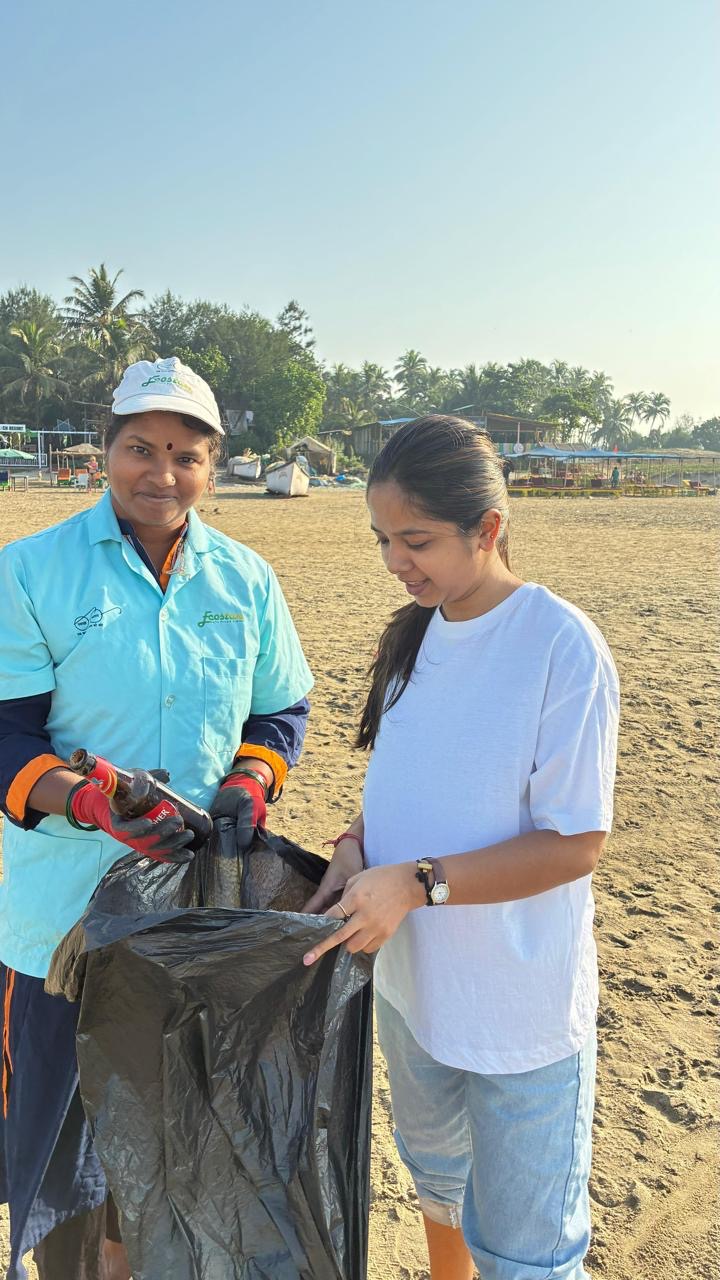 Beach cleanup collection point
